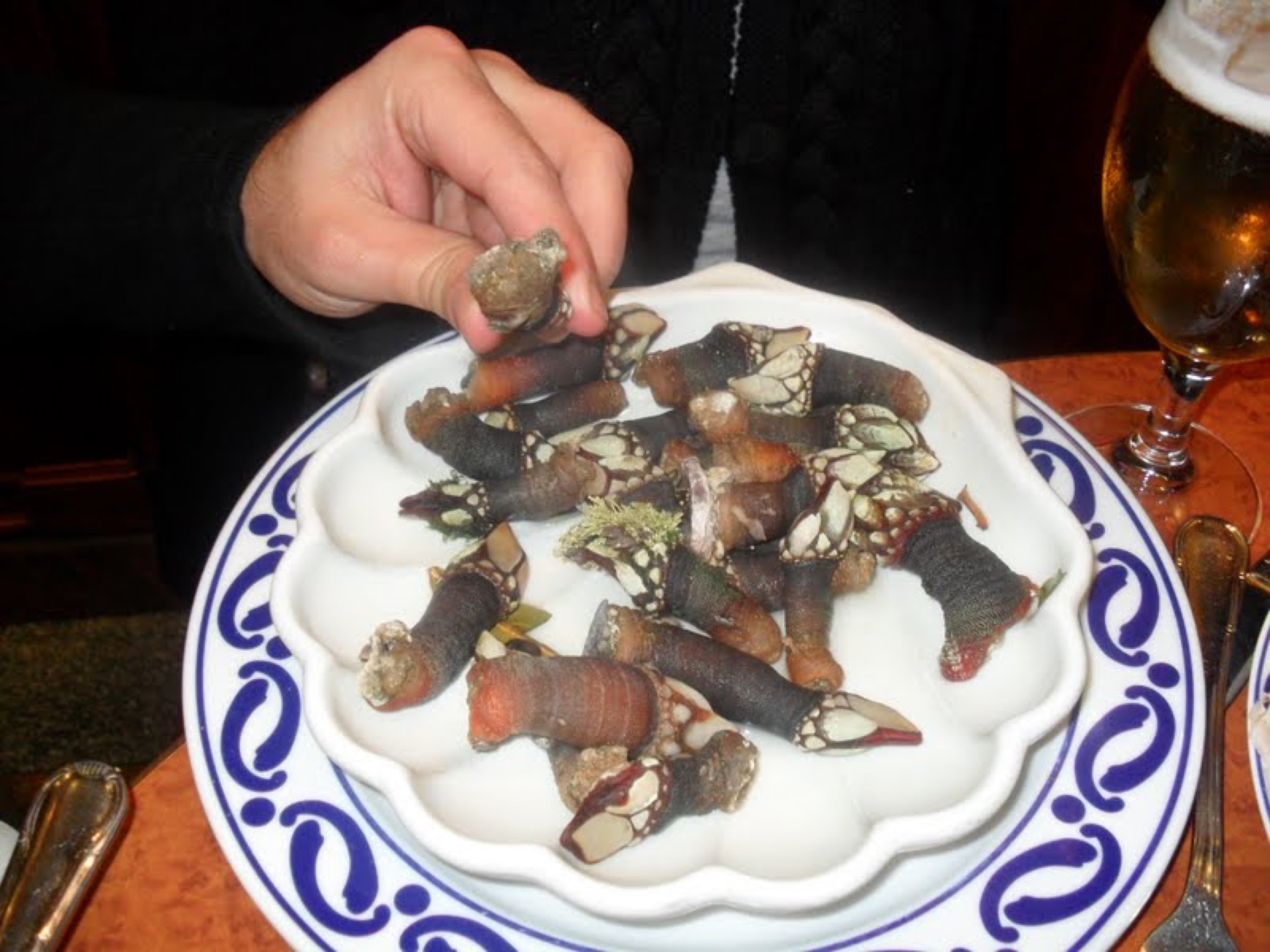 Percebes (pousse-pieds) servis en assiette — crustacés de roche typiques de la côte atlantique portugaise