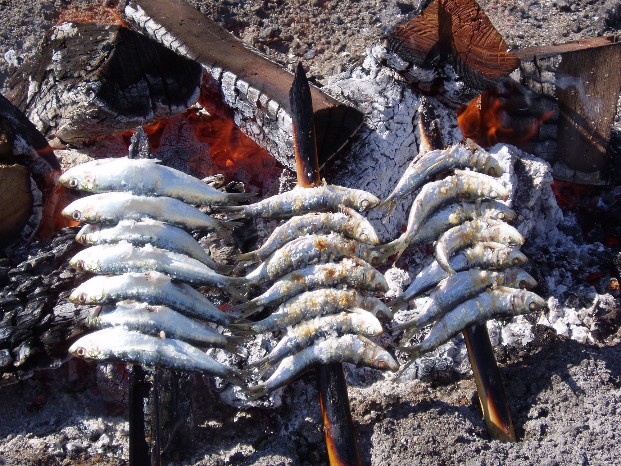 Un espeto de sardinas grillant sur une braise de bois au bord de la plage