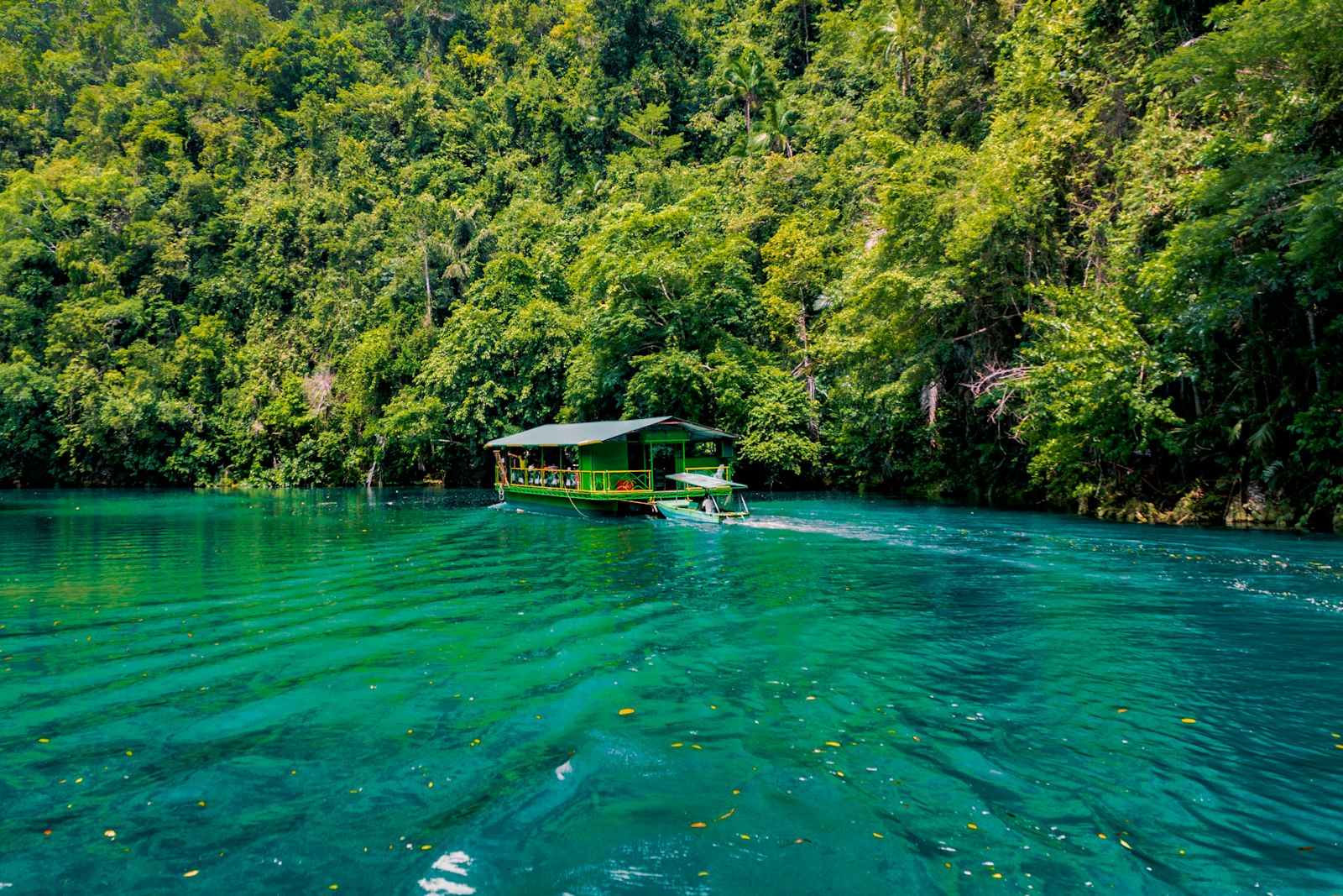 Une croisière sur la rivière Loboc entre des rives de jungle verte, Bohol
