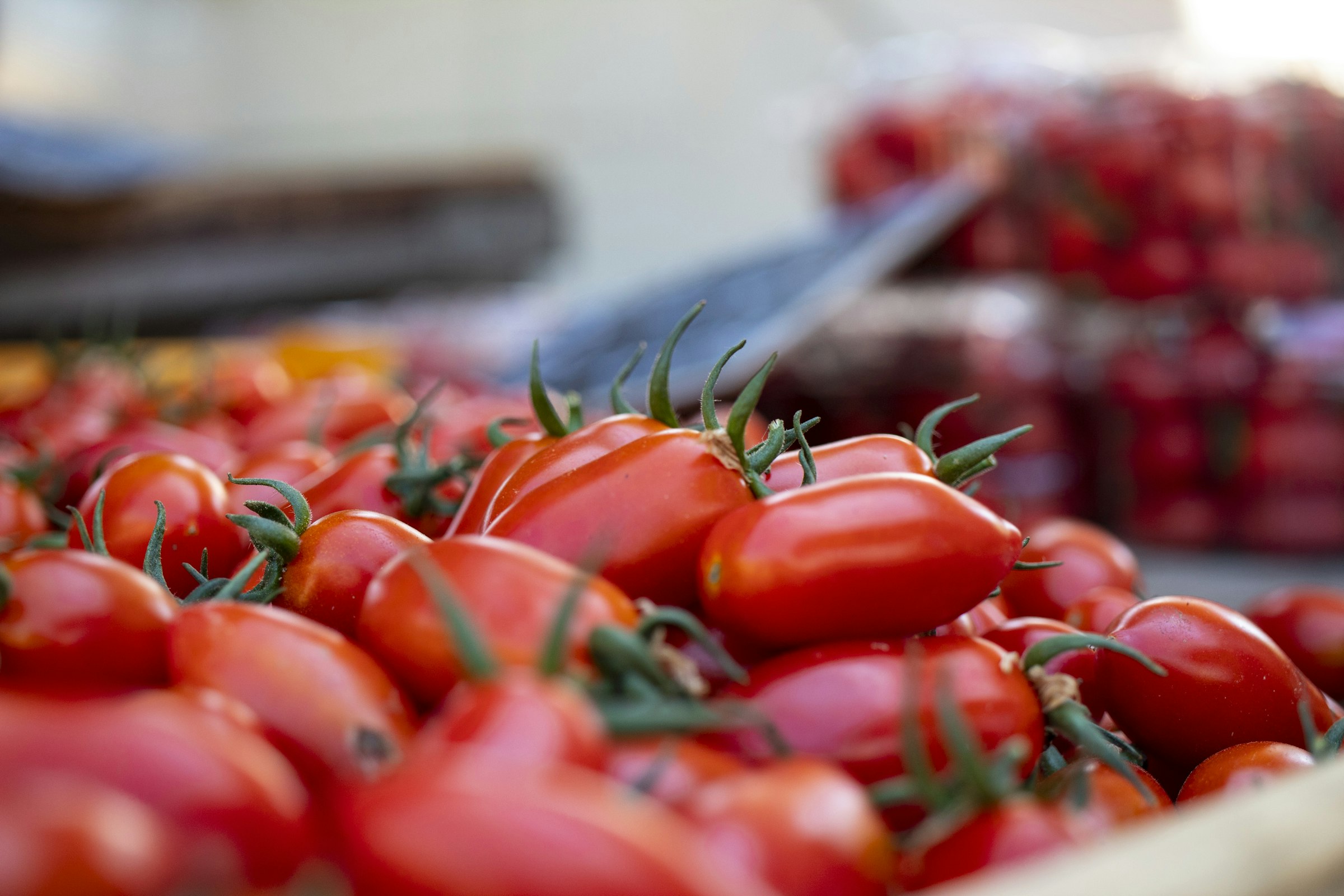 Des tomates en grappe d'un rouge vif, luisantes, au premier plan de l'étal d'un marché crétois
