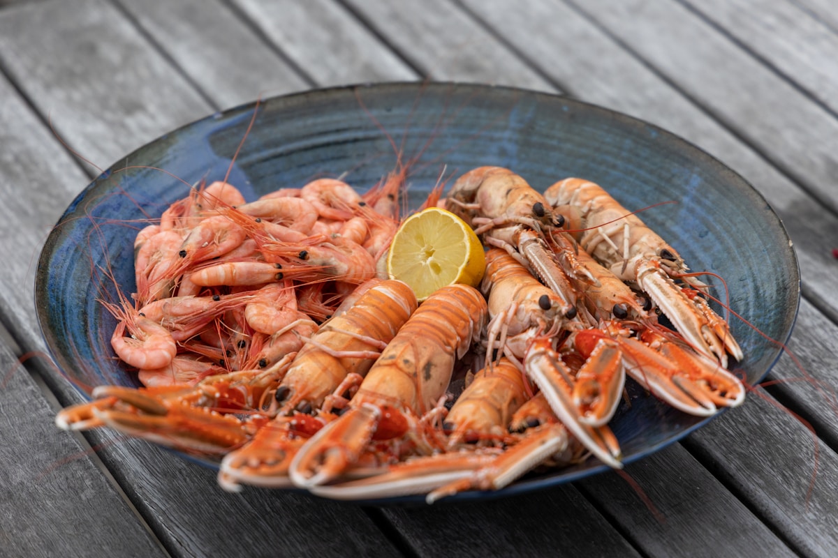 Scalpay langoustines & scallops