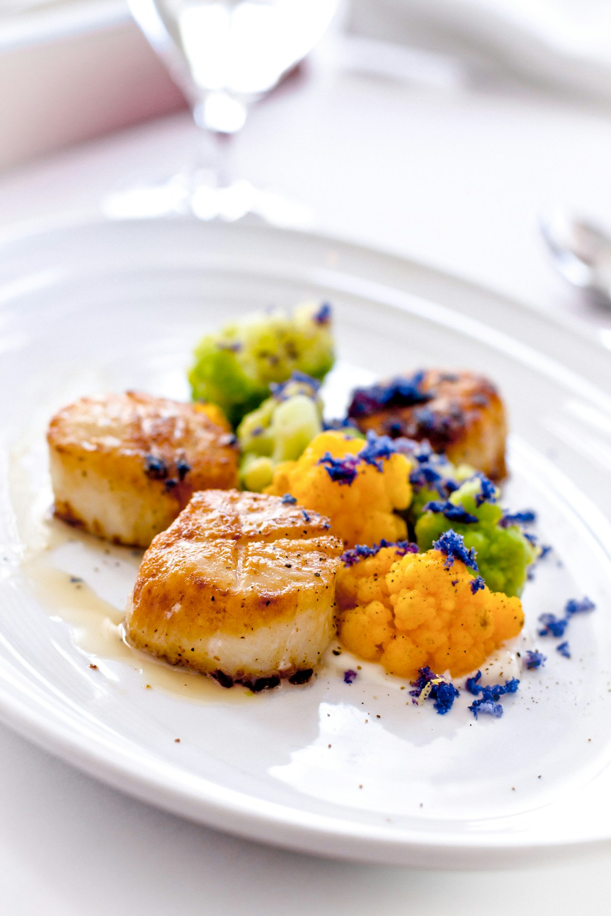 Hand-dived scallops