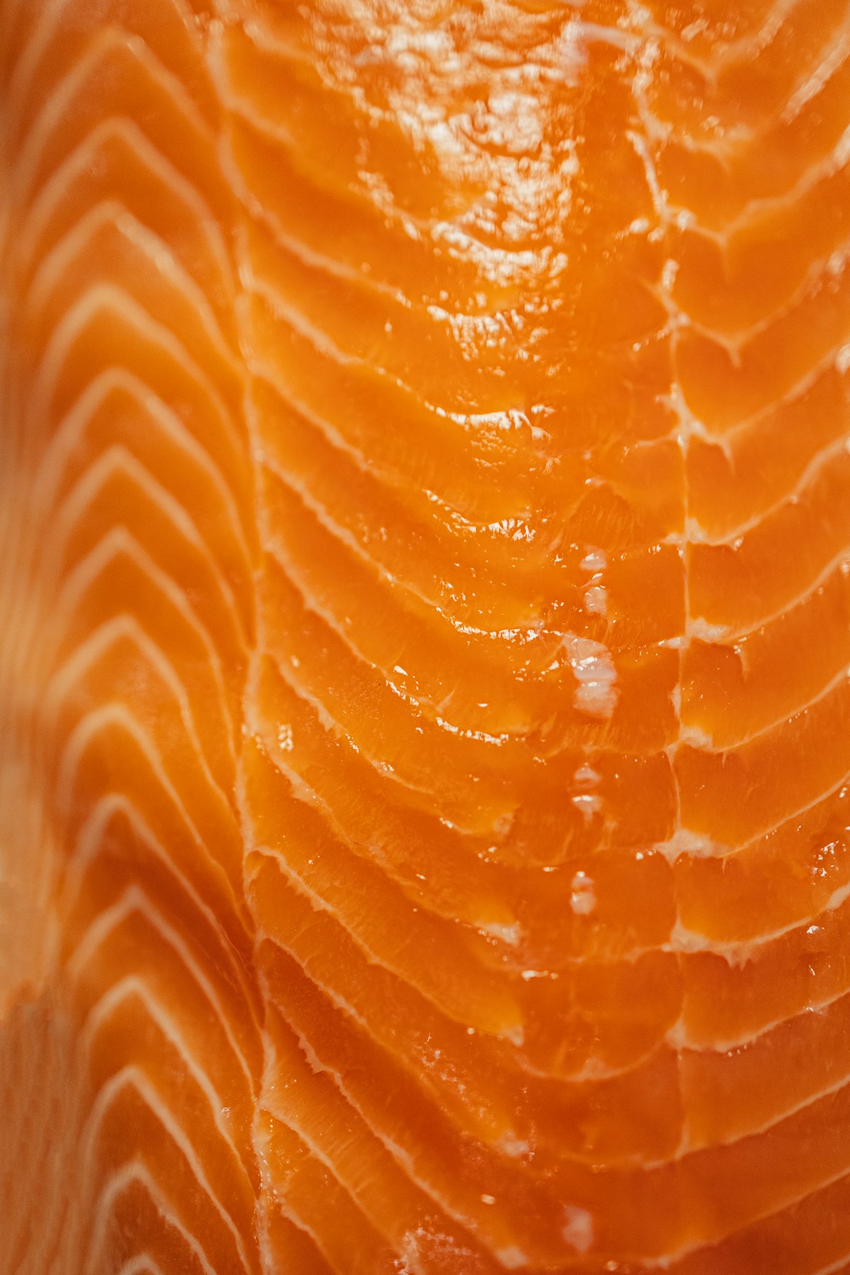 Hebridean peat-smoked salmon