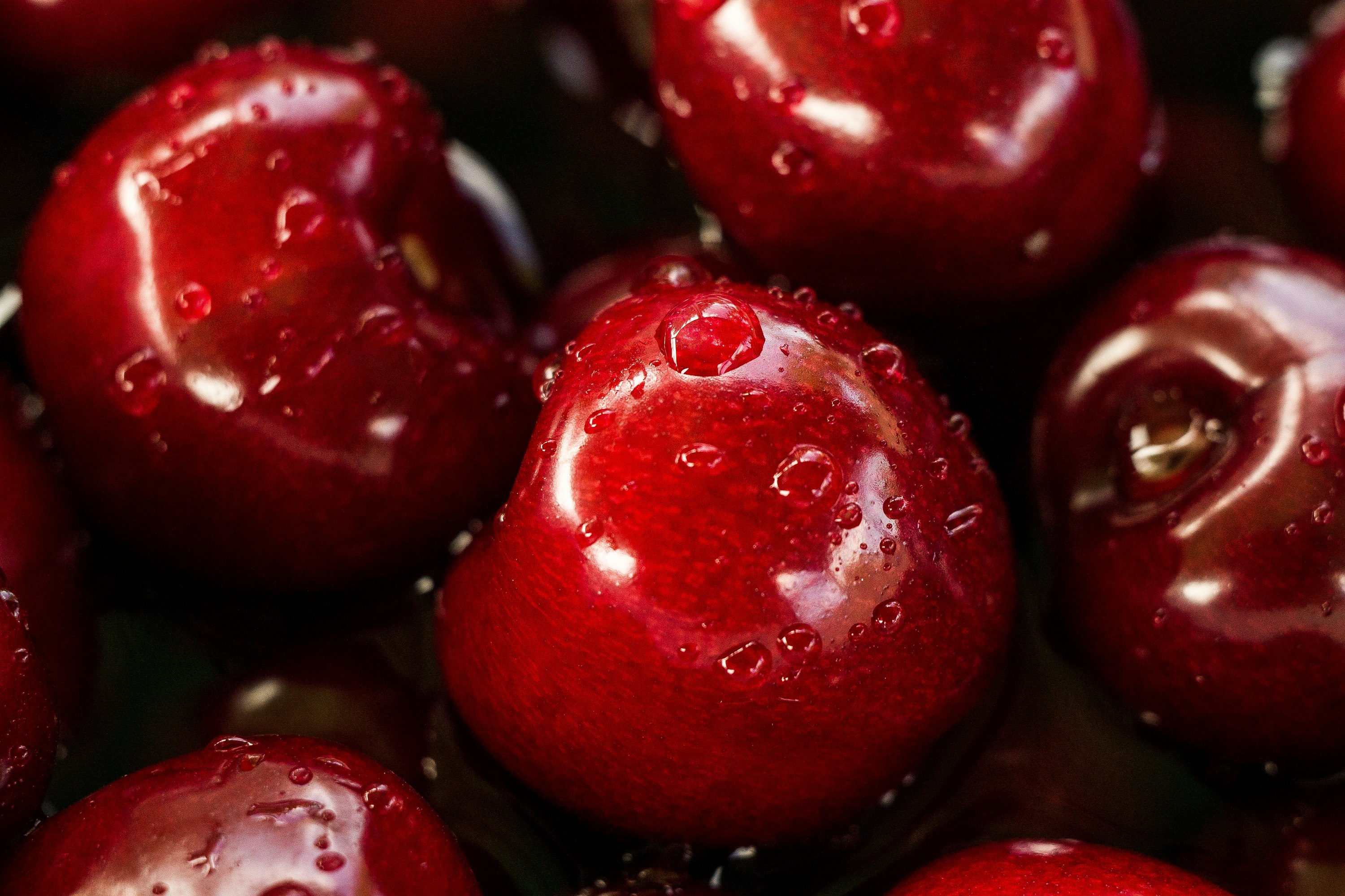 Gros plan sur des cerises rouges fraîches recouvertes de gouttelettes d'eau — cerises brillantes et mûres de la saison mai-juin, comme celles qu'on trouve sur les marchés du Douro.
