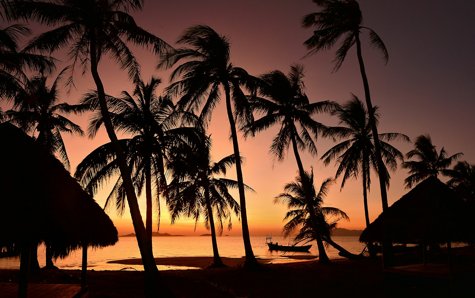 Des cocotiers en silhouette sur une plage au coucher du soleil — l'esprit de Paliton, Siquijor
