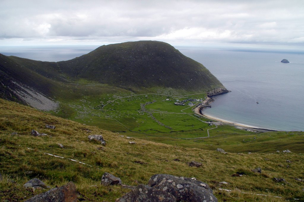 St Kilda day trip or wildlife boat