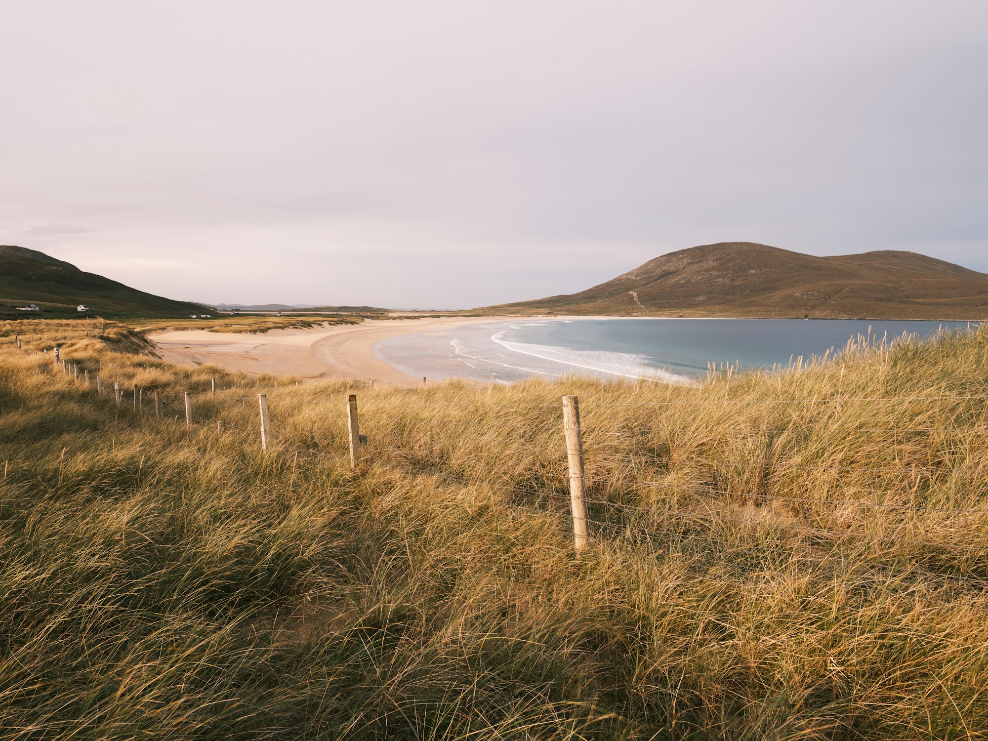 Dune grass above a white-sand beach on the Isle of Harris