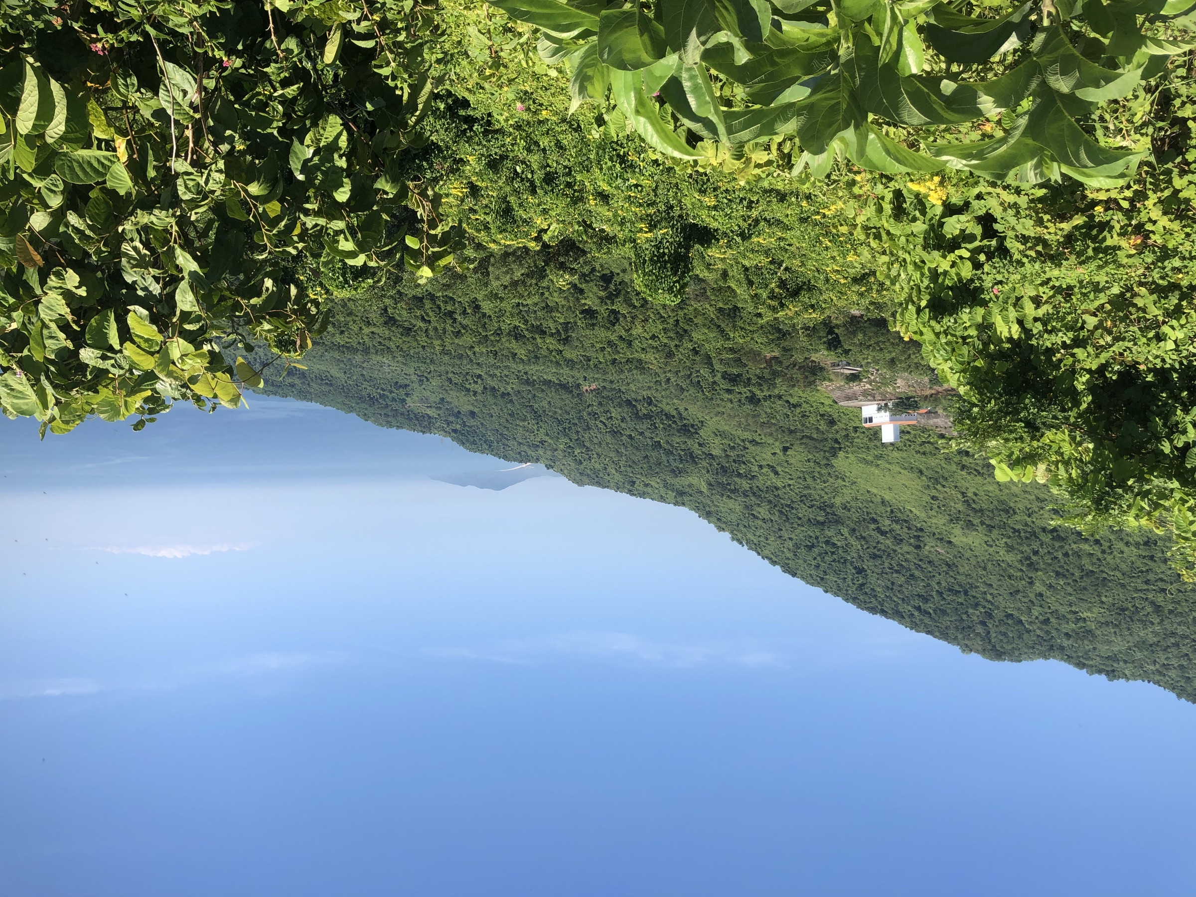 Vietnam — février