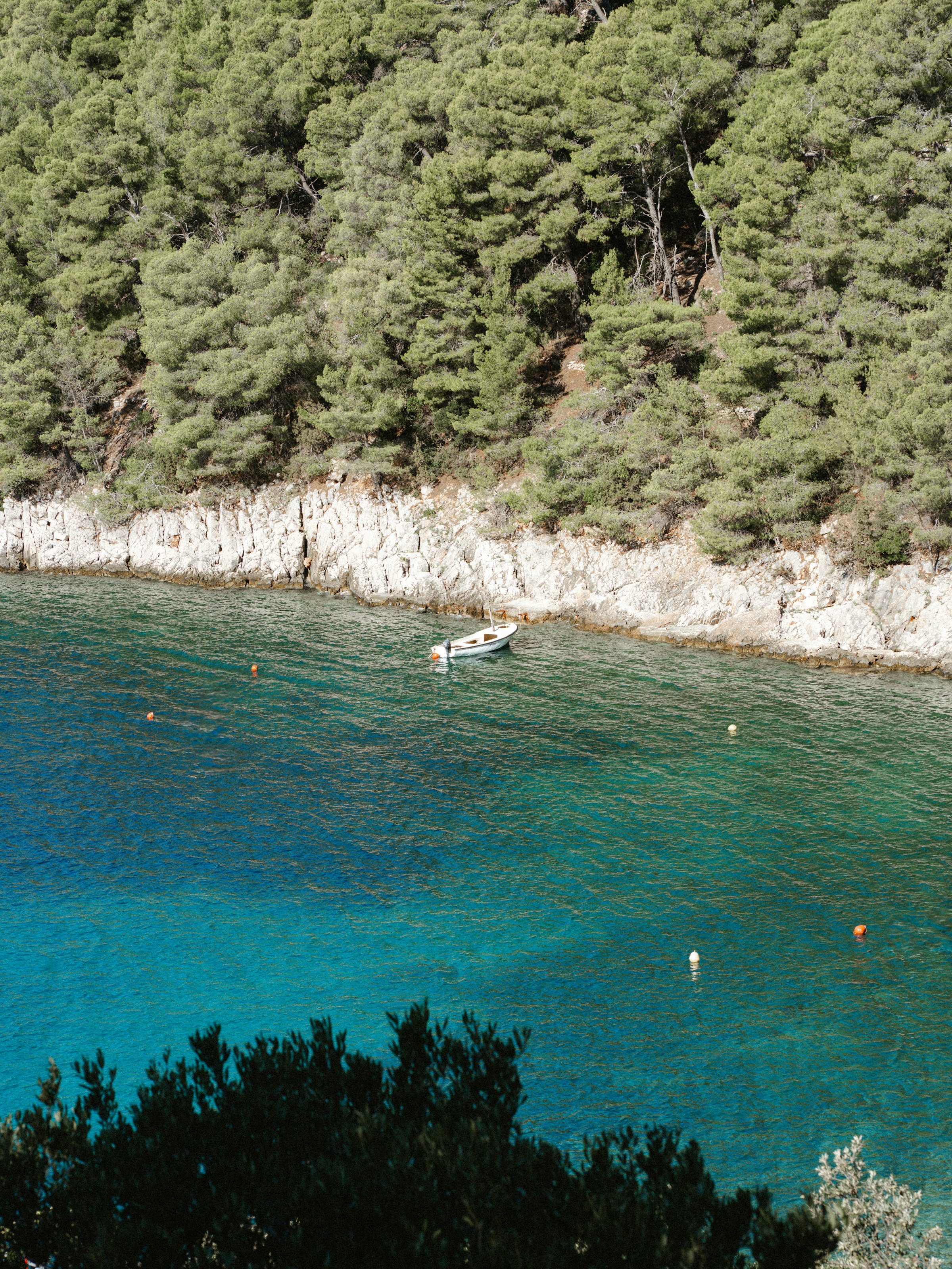 Une crique méditerranéenne sauvage vue de haut : des pins qui descendent jusqu'à une eau turquoise cristalline, un petit bateau au mouillage.