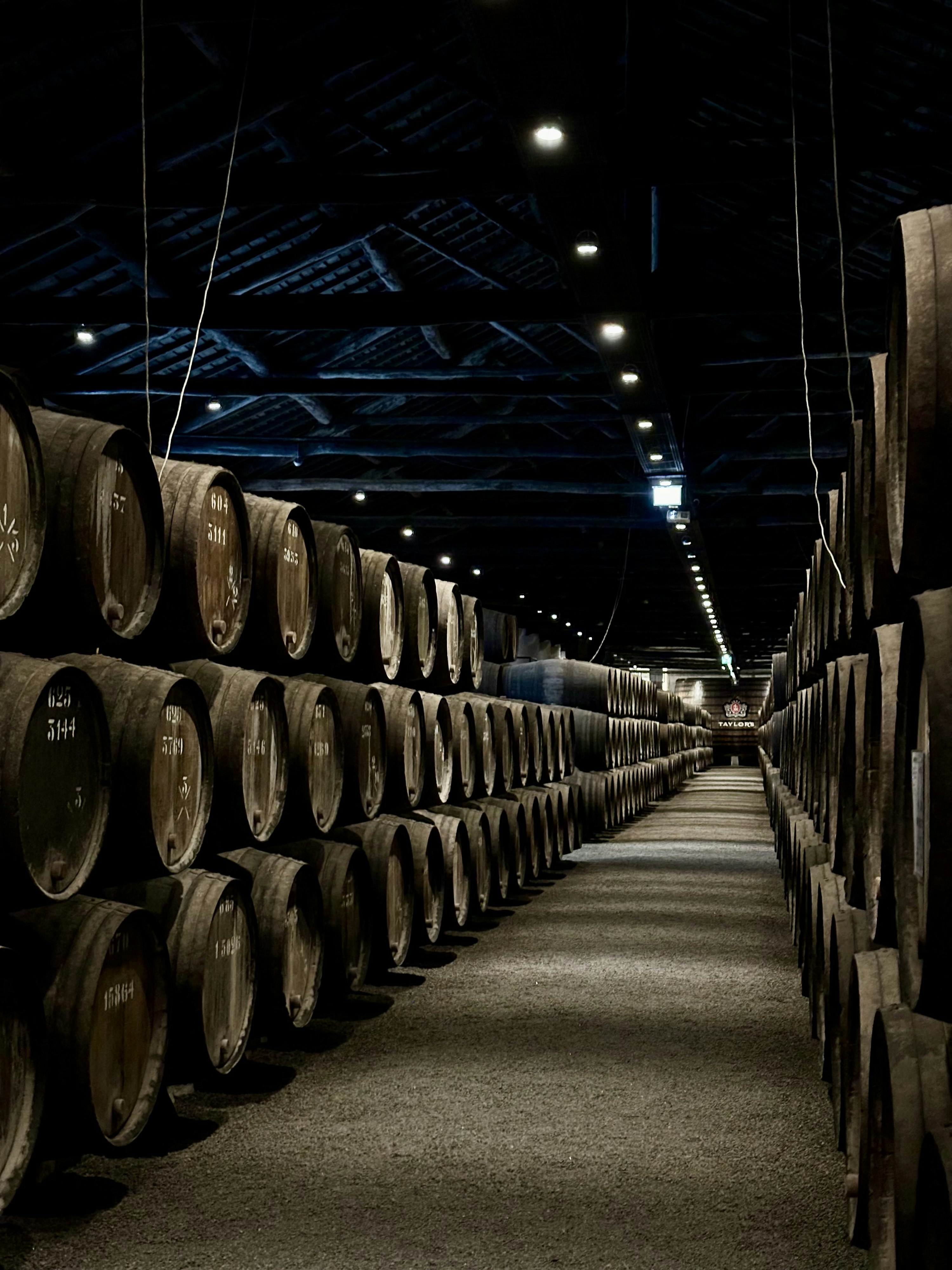 Des rangées de barriques de porto en chêne empilées dans les chais Taylor's à Vila Nova de Gaia, sur la rive du Douro.