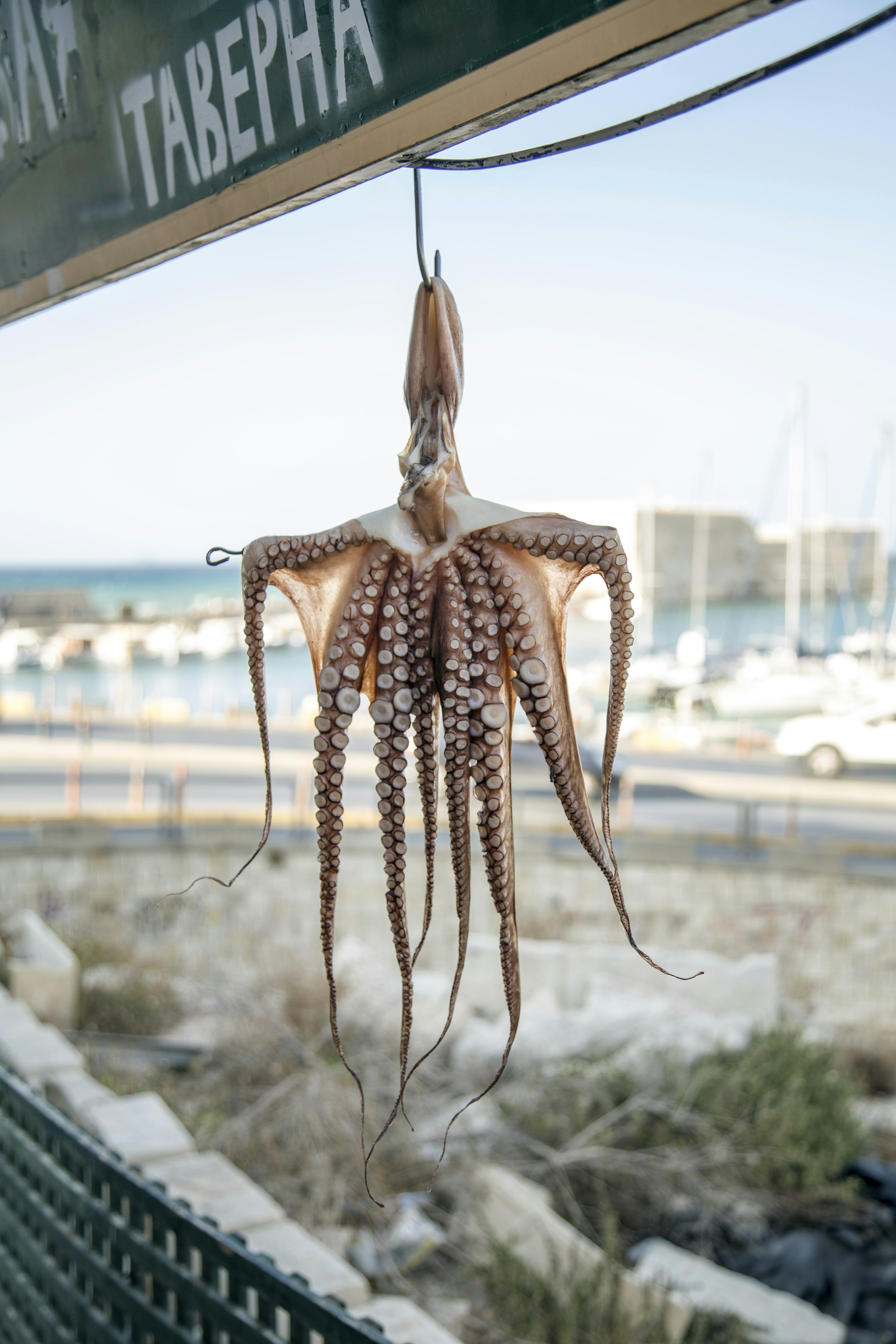 Un poulpe suspendu à un crochet devant une enseigne de taverne (ΤΑΒΕΡΝΑ), un port crétois et ses bateaux à quai en arrière-plan.