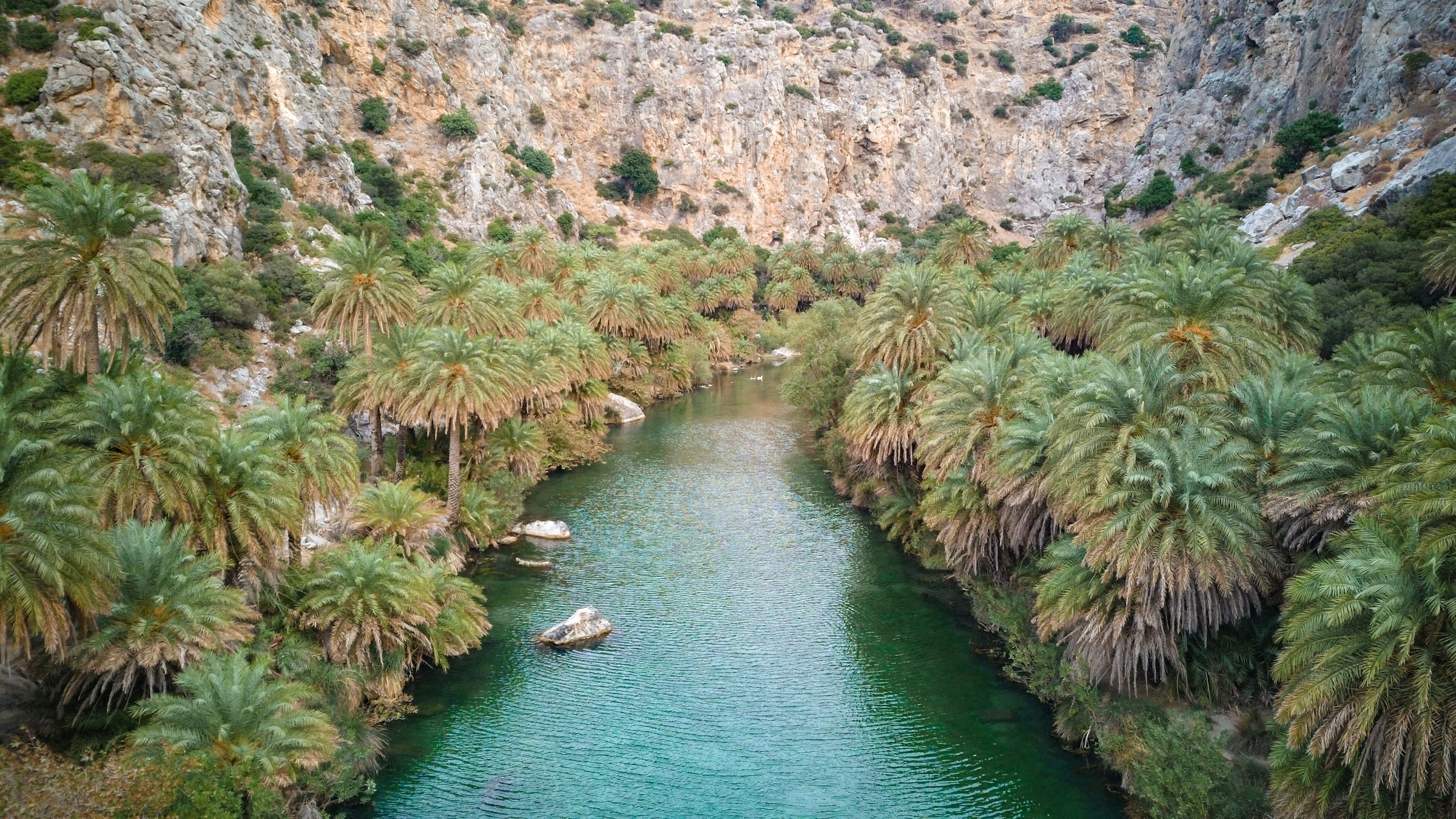 La gorge de Preveli, en Crète : une rivière aux eaux émeraude bordée d'une dense palmeraie, encaissée entre des parois rocheuses.