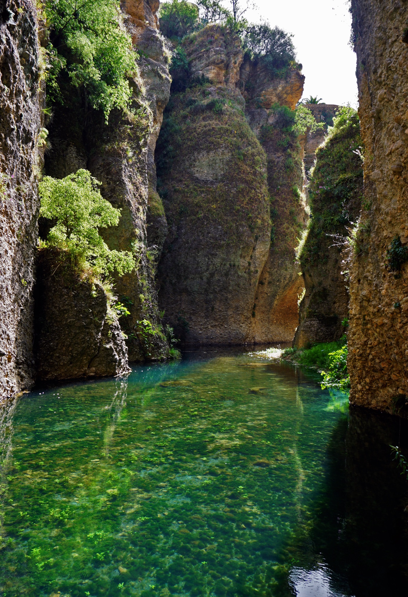 Parois du Tajo et eau verte de la Guadalevín, vues du fond du gouffre