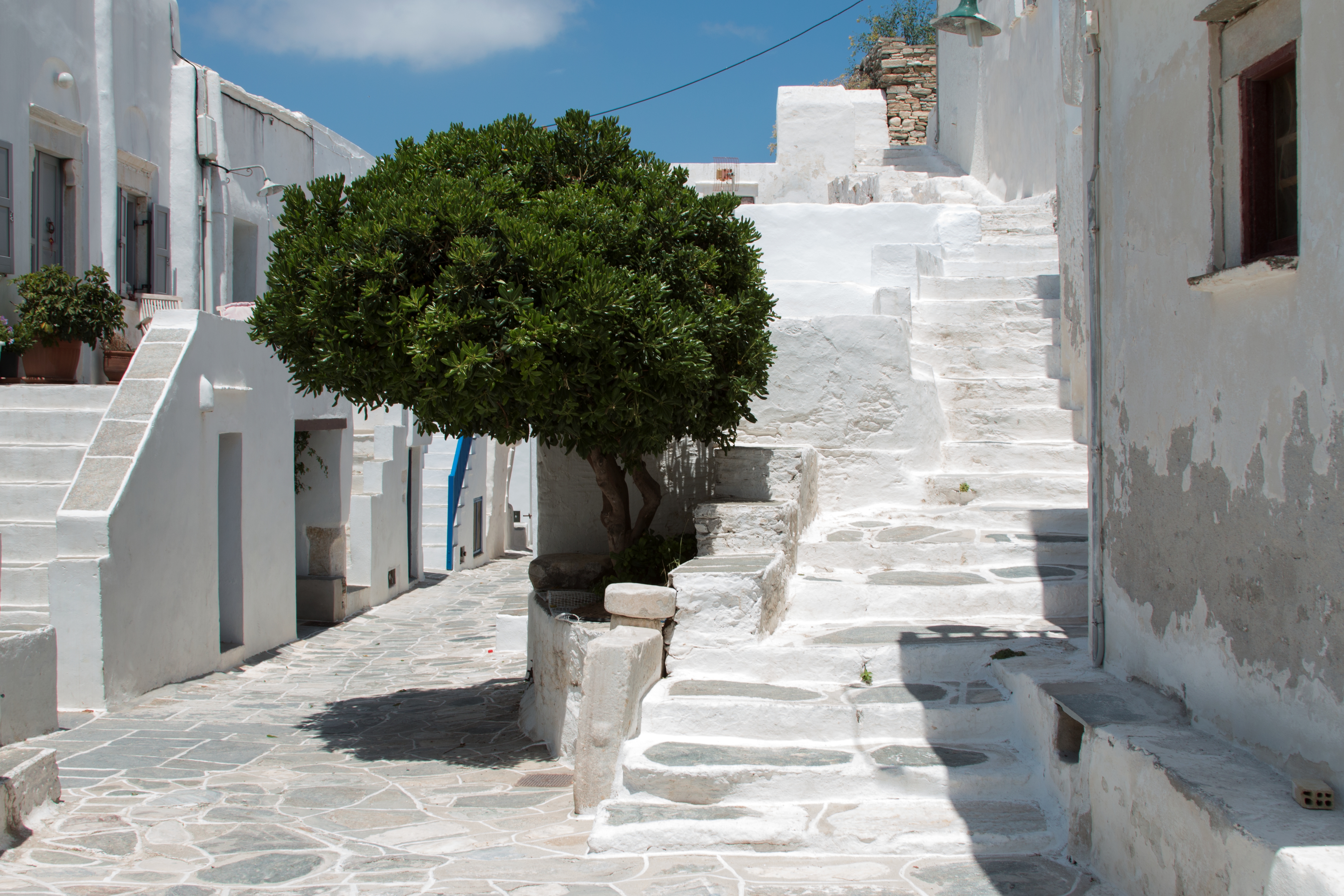 Une ruelle pavée de marbre blanc avec un arbre vert et des escaliers blanchis à la chaux, dans un village de Sifnos