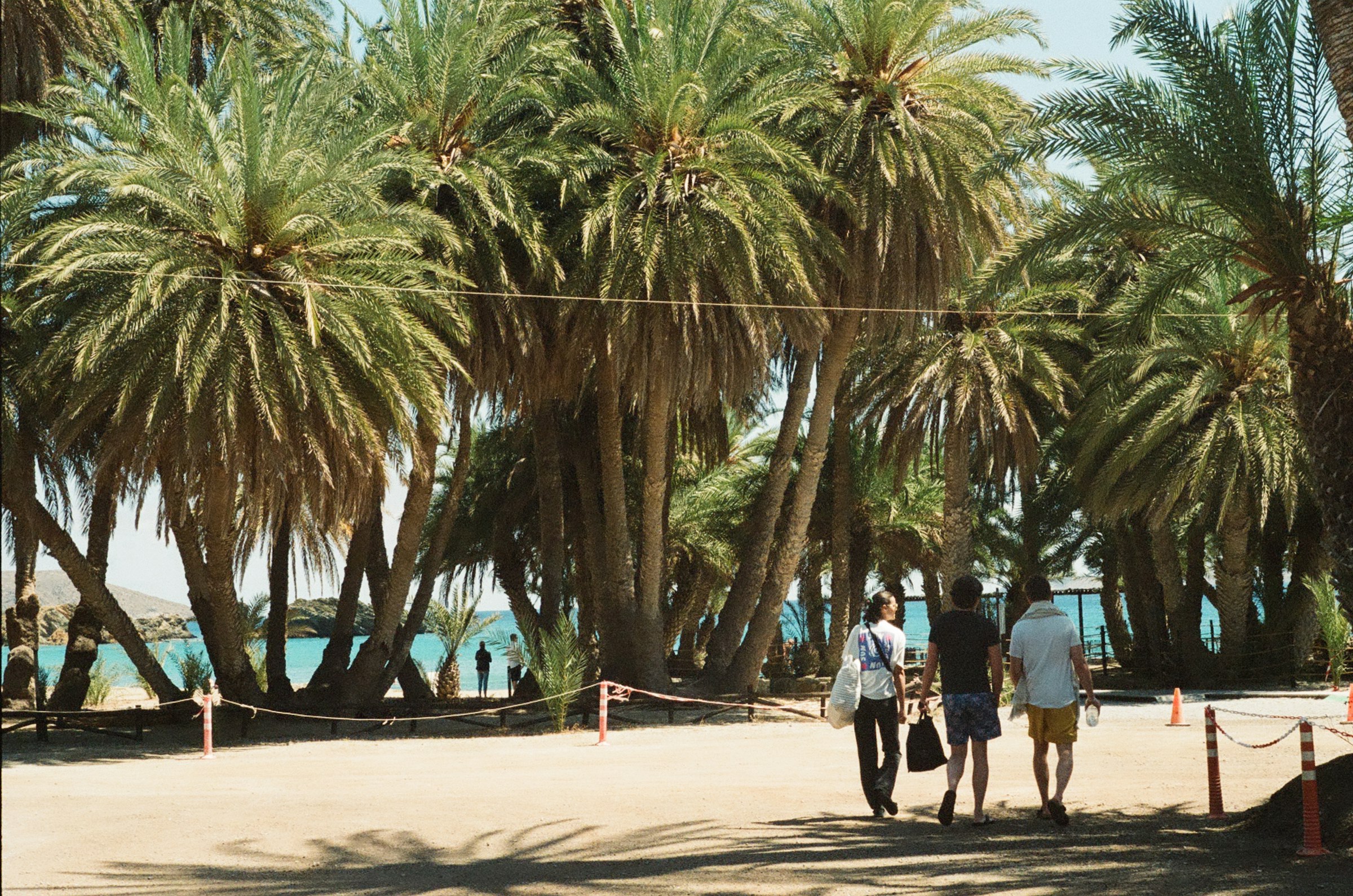 La palmeraie de Vaï, en Crète : de grands palmiers serrés, des promeneurs sur le sable, et la mer turquoise visible entre les troncs.